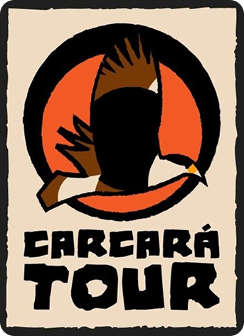 Logo completa carcará